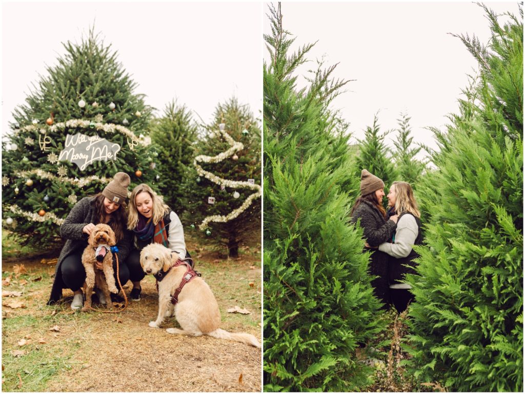 Two newly engaged women pose with their dogs in front of a decorated Christmas tree.