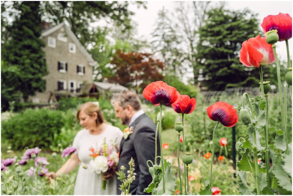 A bride and groom admire the flowers in the Wyck House garden.