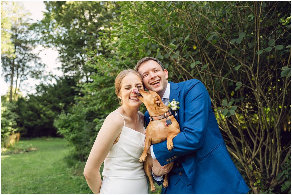 A bride and groom pose with a small dog who licks the bride's face.