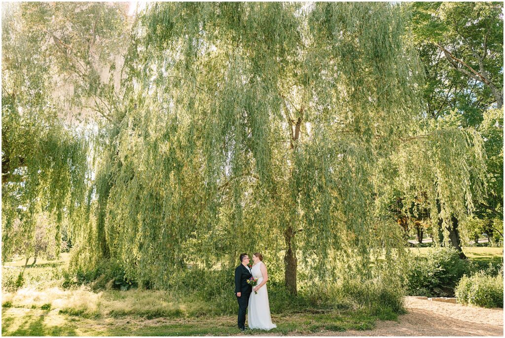 Two women in wedding attire stand beneath a large willow tree at the Malcolm Gross Rose Garden.