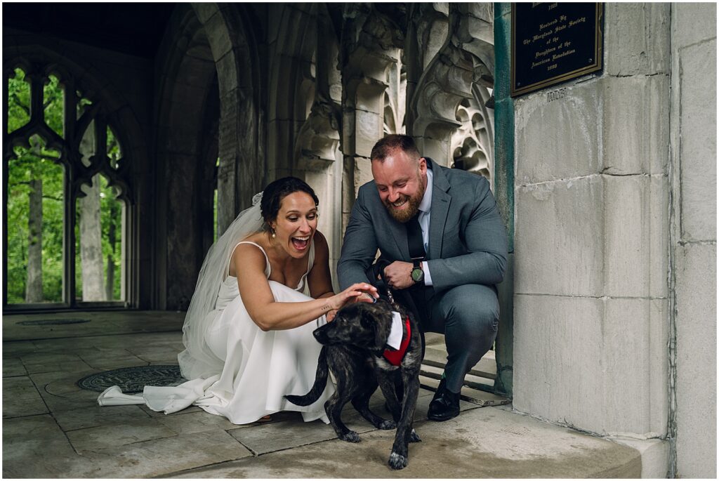 A bride and groom lean down to pet their dog.