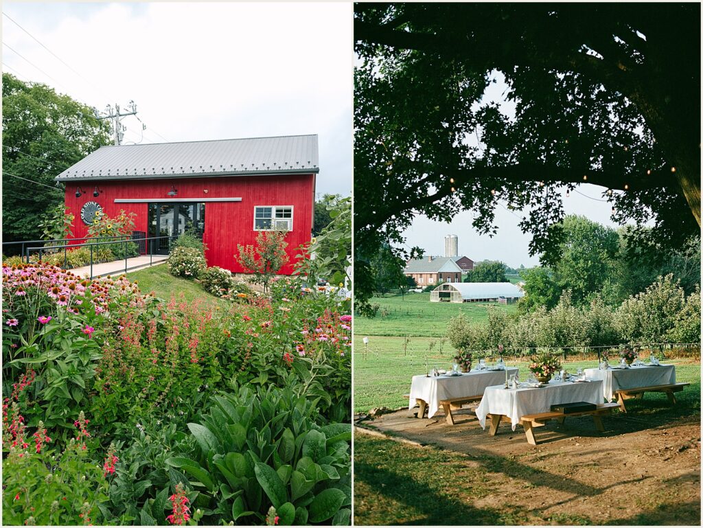 Old Stone Cider sits beside a garden.
