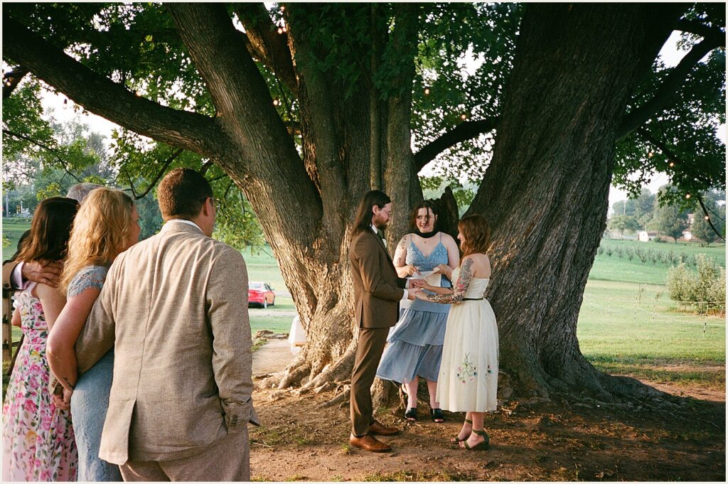 A bride and groom exchange vows under a tree.
